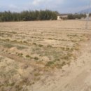 대산면922 이미지