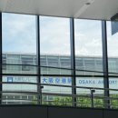 공수 | ANA 국내선 탑승 후기 | 후쿠오카공항(FUK) ➡️ 이타미공항(ITM) | 전일본공수 후기