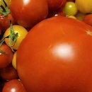 황성농장 이미지