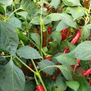 한마음농장 2 이미지