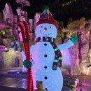 대구대명초등학교 | 대구 가볼만한 곳 &#34;2025 앞산 겨울정원&#34; 행사기간 및 주차 방문 후기