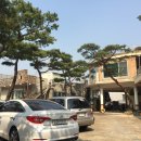 소나무뼈해장국