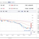주식회사 미스터피자 이미지