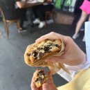 어반라이트