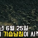 대한민국VS북한, 6.25 한국전쟁 / 한국전쟁사 이미지