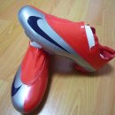 선부초등학교 이미지