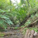 담수농장 이미지