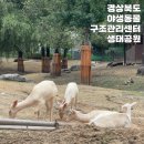 경상북도 야생동물 구조관리센터 이미지