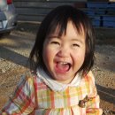 황새마을