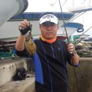 고흥 갑오징어 낚시 이미지