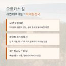 고요한 숲 이미지