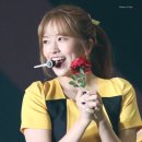 큐리어스 이미지