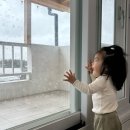 들불식당 이미지