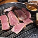 제주 몬트락 한티점 이미지