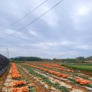 백학터미널 화장실 이미지