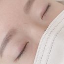 다미래쉬 이미지