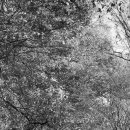 경천 갈매길 이미지