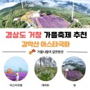 가을언덕 | 거창 감악산 풍력단지 아스타국화축제🌸 보랏빛 언덕에서 가을 인생샷 건진 후기 (주차·포토존 총정리)