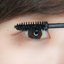 시스켈리 이미지