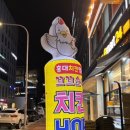 꼬꼬순이초롱꽃점 이미지