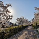 운중천(좌로) 이미지