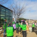 동네언니협동조합 | 잘자람협동조합 회원들의 2026 봄맞이 청주 무심천 플로깅