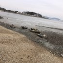 선재도민박 이미지