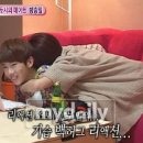 아담 이미지