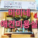 미미네 애견 이미지
