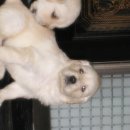 가정1-01-053 이미지