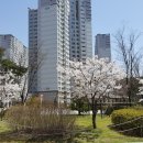 다정한 행정사사무소 이미지