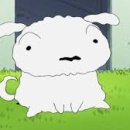 펫미장원 공감 이미지