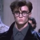 해리네 포터 이미지