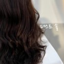 솔미용실 이미지