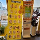와플대학 - 송파구 백제고분로23길 31 | 와플대학