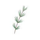 소답동176 이미지