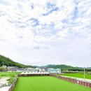 레오나르독 이미지