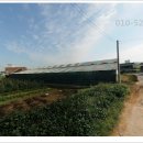 화수리축사 이미지