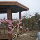 남산웰빙 이미지