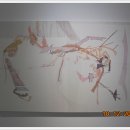 김홍도미술관 이미지