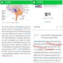 Usa 짱개일본 시스템이 기어오는게 별지랄 ㅋ쇼크웨이브 브레인웨이브 지속발기증 저혈류 고혈류 대뇌피질 직립강직 이미지