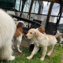 푼타하우스 이미지