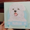 이쁘다 멍 이미지