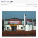 군청사거리~신정사거리 | [태안,여행,백합꽃축제] 6월말~7월초 향기 가득한 태안백합꽃축제 현장 - 플루메리아