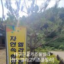 청도엘라고키즈풀빌라 이미지