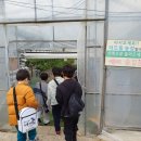 정립(태권도) | 용인대 석사 청룡 태권도 유기농 딸기 시간 무제한 체험학습 후기