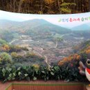 돌리네습지주차장 이미지