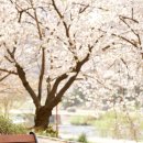 봄날내과의원 이미지