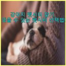 도그 프렌즈 | 🐶 강아지 펫시터 찾기, 믿을 수 있는 펫시터 선택법!