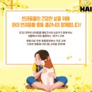 차이나클래스 이미지